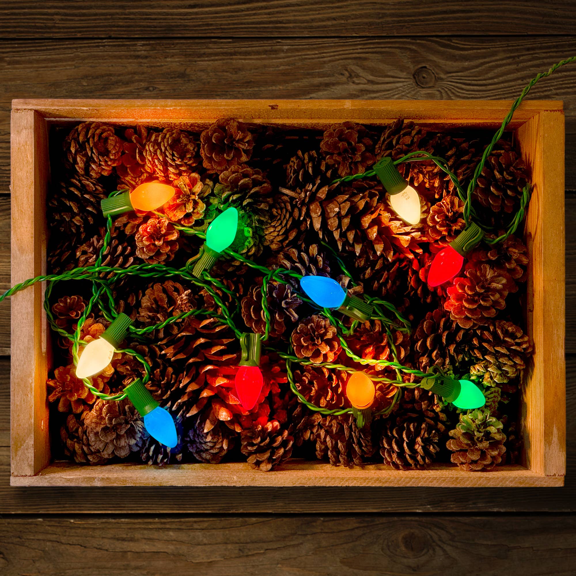 Tru-Tone Vintage Style LED Christmas Lights - C7 10-Light Set: Jeweltone (transparent)