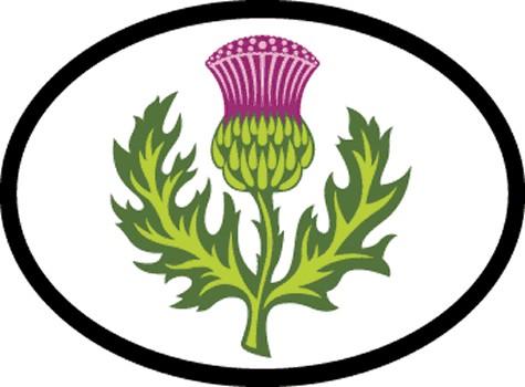 Thistle Oval Reflective Decal