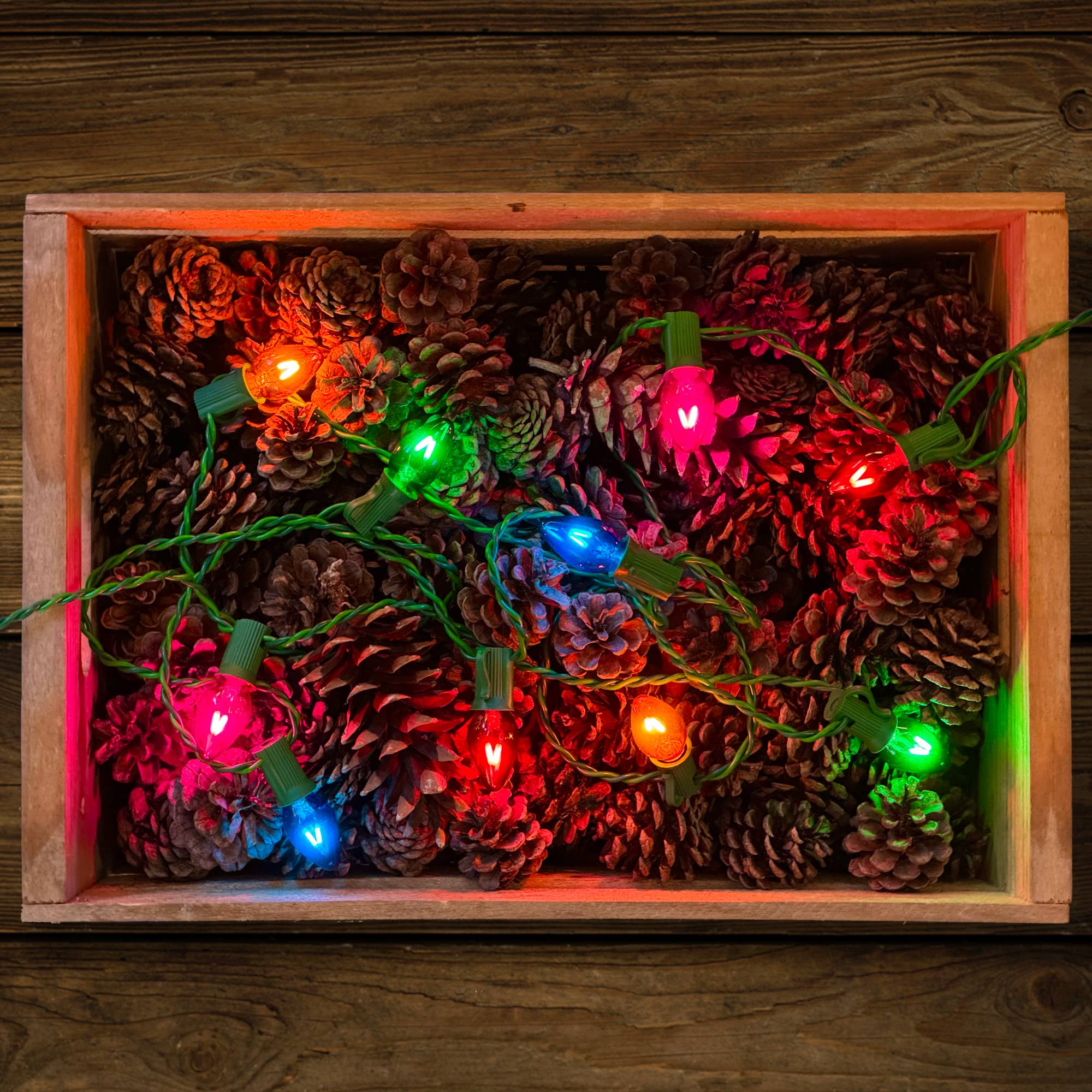 Tru-Tone Vintage Style LED Christmas Lights - C7 10-Light Set: Jeweltone (transparent)