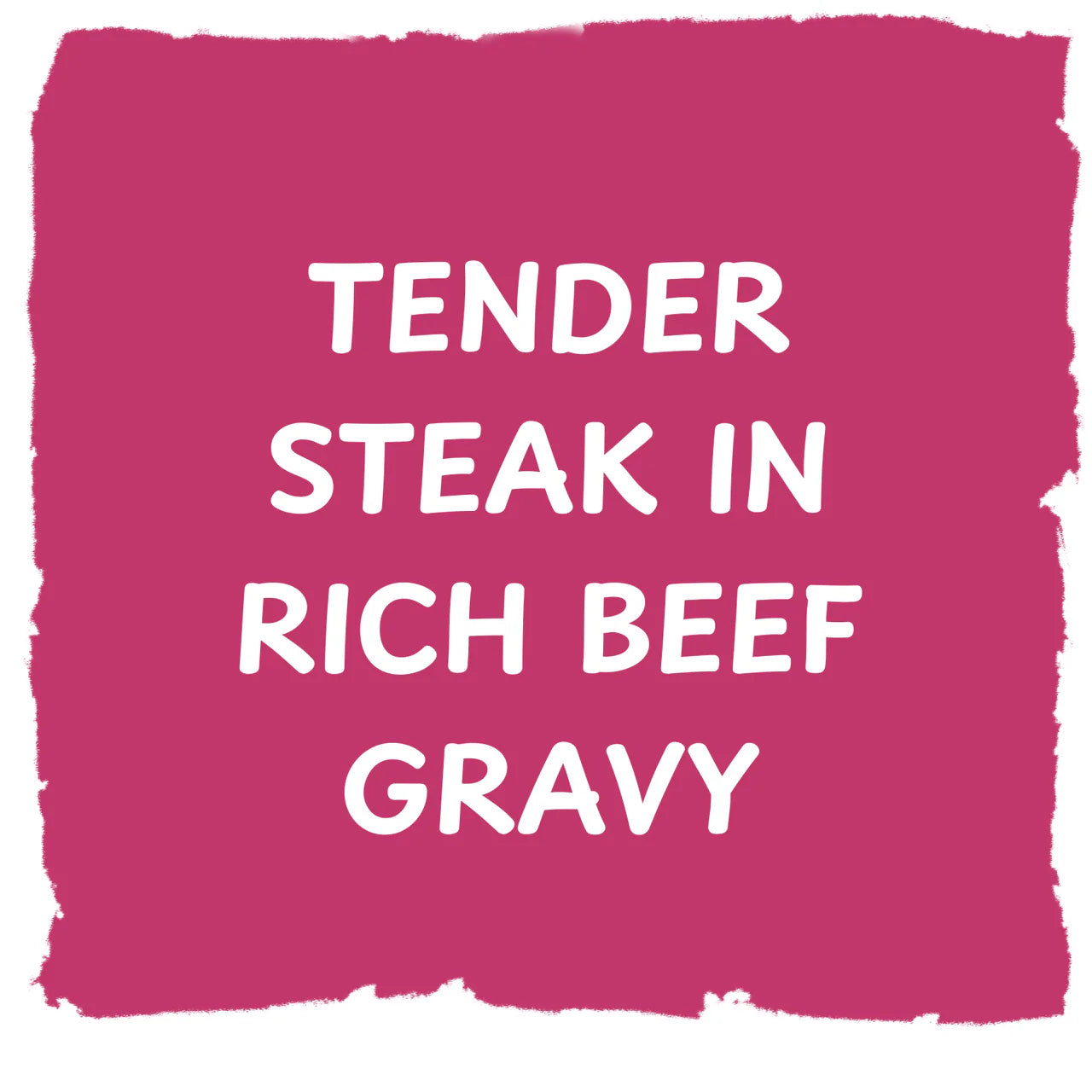 PIELANDER - Steak Pie 9oz
