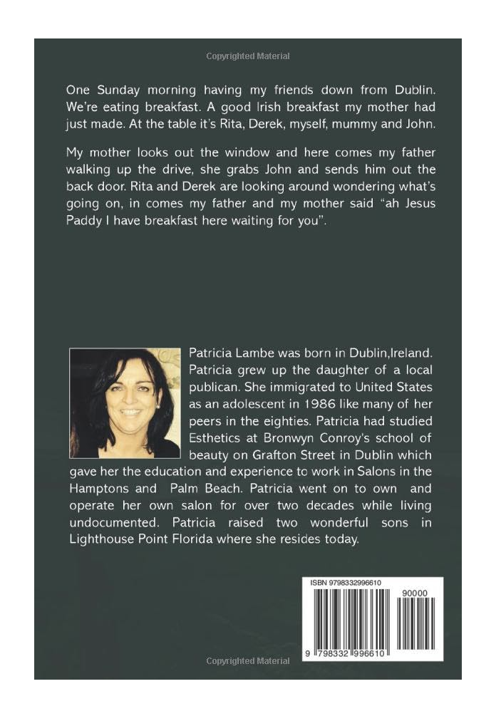 From There to Here: A Journey from Ireland to America (Paperback)