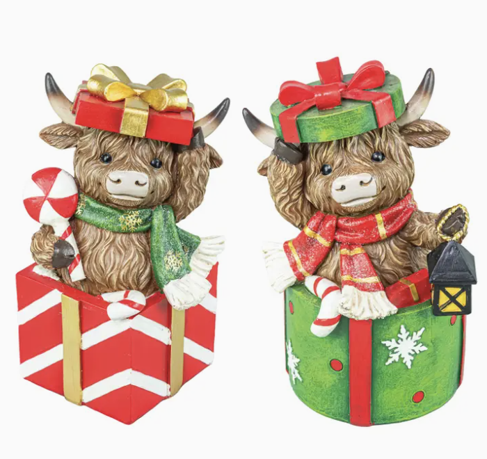 Gift Box Highland Cow Tabletop (Single Unit)